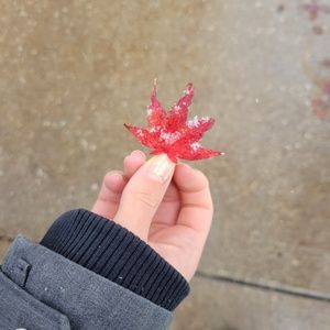 Meet your Posher, Madeline chrome